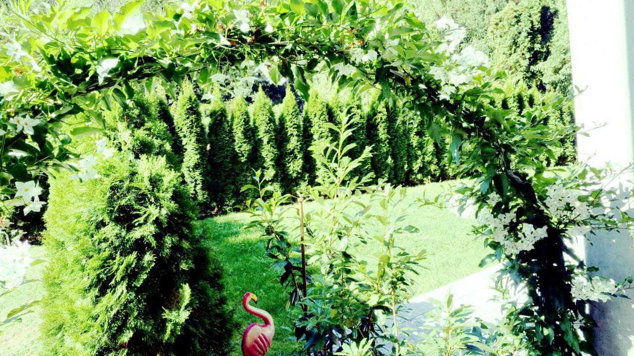 Flamind Holiday Apartments Mit Garten Und Grill Altenberg bei Linz Εξωτερικό φωτογραφία